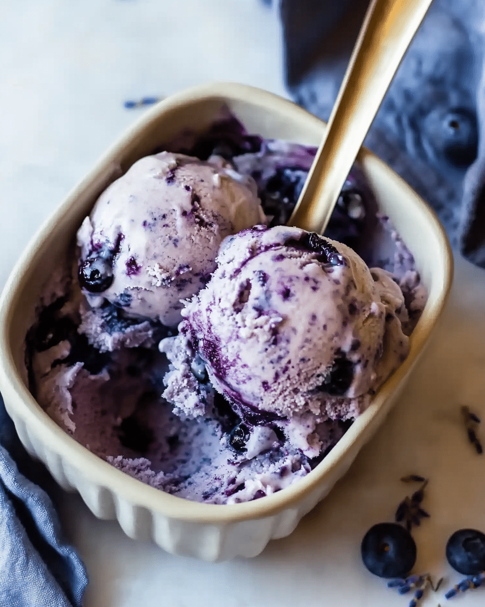 Wild Blueberry Lavender Coconut Ice Cream
